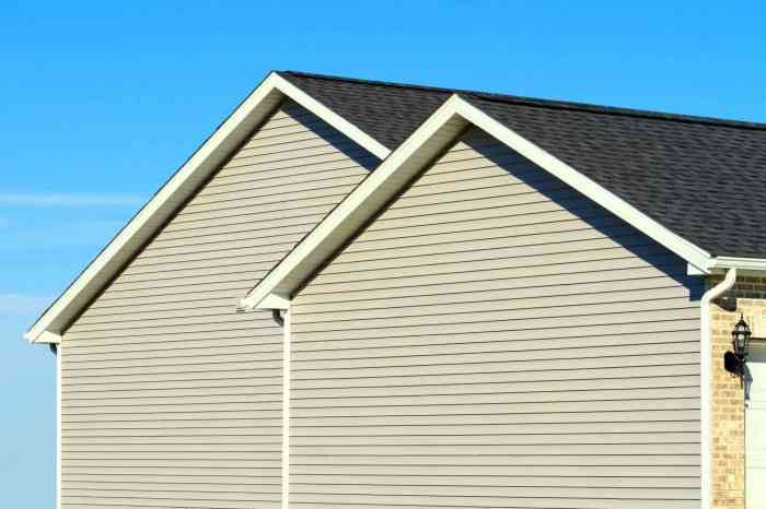 The 4 Most Popular Siding Materials for Homes The 4 Most Popular Siding Materials for Homes